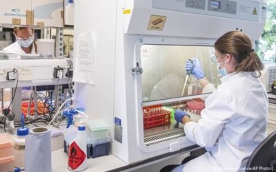 Dos vacunas contra coronavirus producen respuesta inmunitaria y son seguras