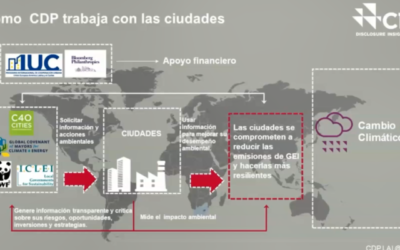 Gobiernos locales sobre los avances en la acción climática