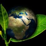 Por qué una empresa debe ser sustentable: Tendencias 2021