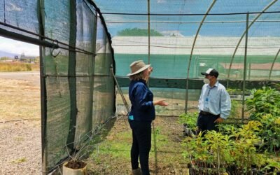 COOPEAMBIENTAL Y MUNICIPALIDAD  DE GRECIA  HACEN POSIBLE QUE LOS RESIDUOS TENGA VALOR