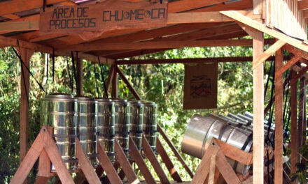 Costa Rica Guarda récord en la industria cafetalera.
