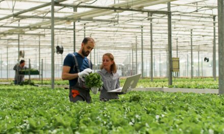 EL SECTOR AGRÍCOLA Y SU PAPEL EN LA ECONOMÍA