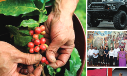 REVISTA LIDERES GLOBALES #29