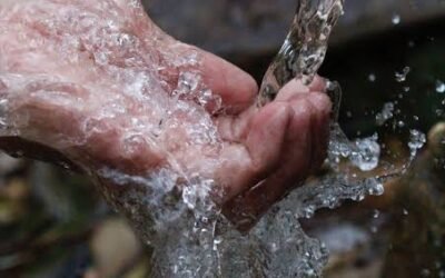 Consecuencias de la contaminación del agua